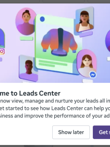 Meta Leads