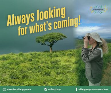 Always looking for what's coming!